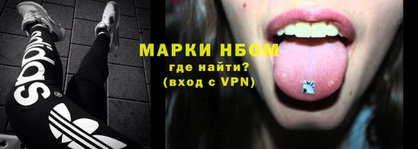 гидра Богданович