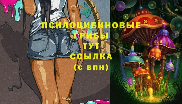 наркотики Белокуриха