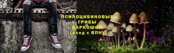 MDMA Premium VHQ Богородицк