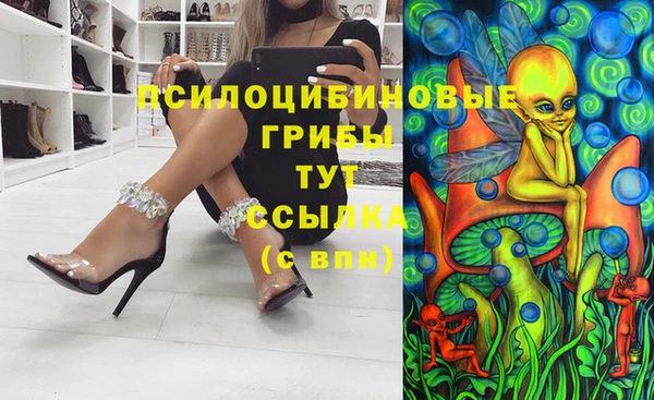 гидра Богданович