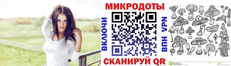 Псилоцибиновые грибы Psilocybe Клин